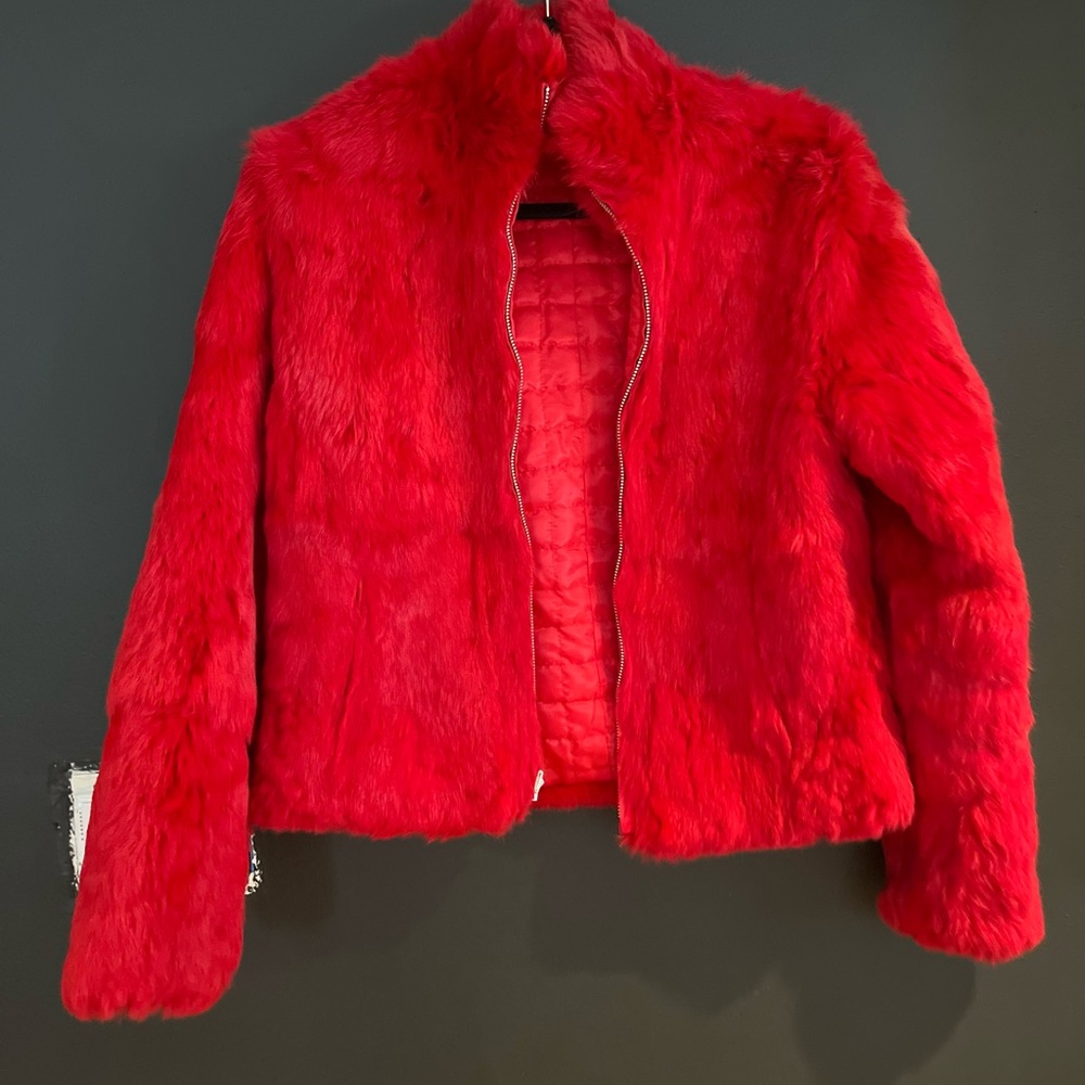 Beautiful Fur Red - Perfect for Christmas Day